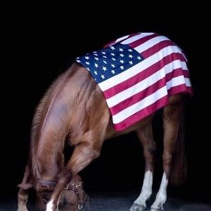 Meet your Posher, Sean